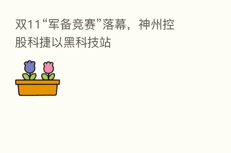 双11“军备竞赛”落幕,神州控股科捷以黑科技站