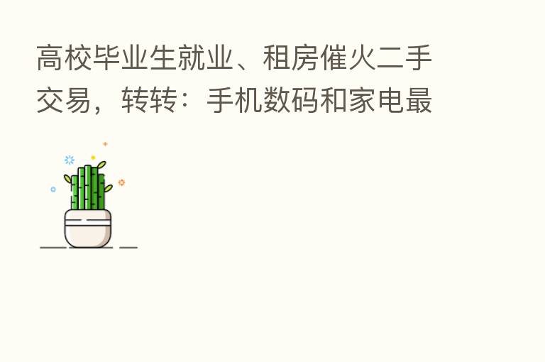 高校毕业生就业、租房催火二手交易，转转：手机数码和家电   受欢迎