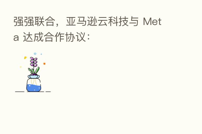 强强联合,亚马逊云科技与 Meta 达成合作协议:
