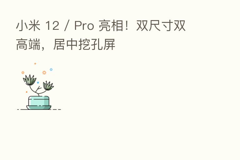 小米 12 / Pro 亮相!双尺寸双高端,居中挖孔屏