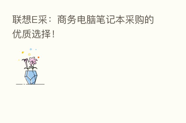 联想E采：商务电脑笔记本采购的优质选择！