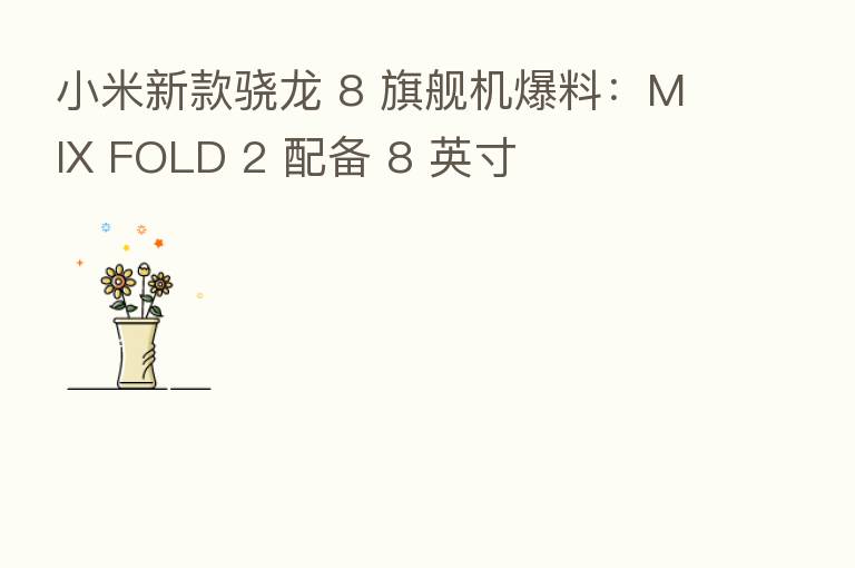 小米新款骁龙 8 旗舰机爆料：MIX FOLD 2 配备 8 英寸
