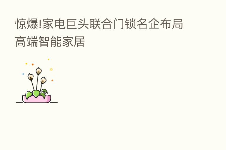 惊爆!家电巨头联合门锁名企布局高端智能家居