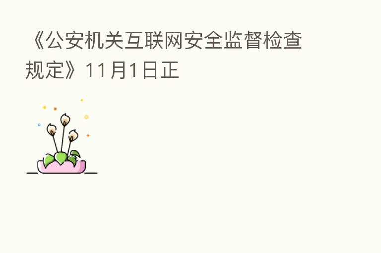 《公安机关互联网安全监督检查规定》11月1日正