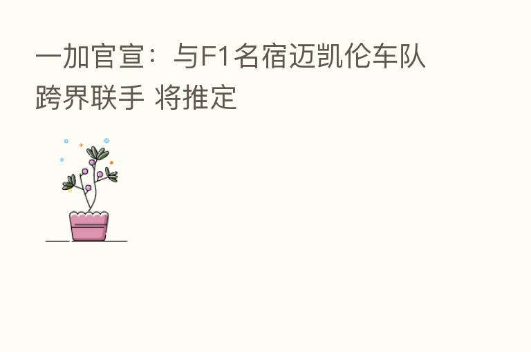一加官宣：与F1名宿迈凯伦车队跨界联手 将推定