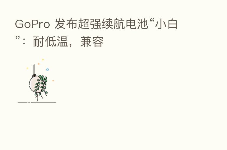 GoPro 发布超强续航电池“小白”：耐低温，兼容