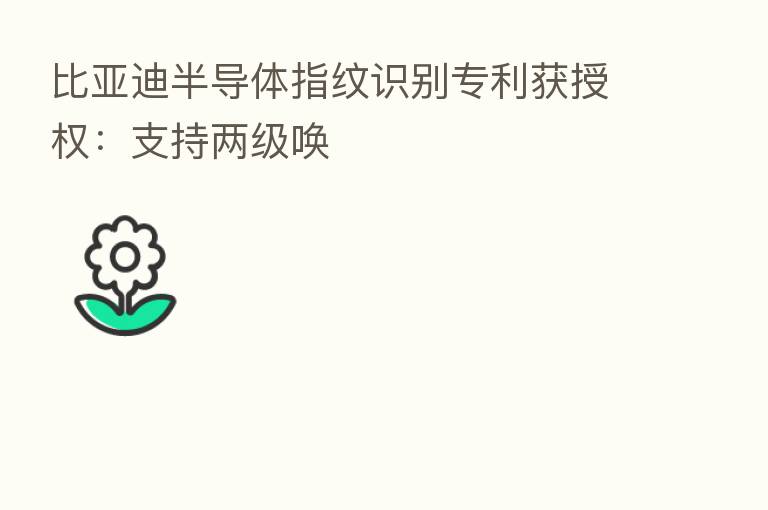 比亚迪半导体指纹识别专利获授权：支持两级唤