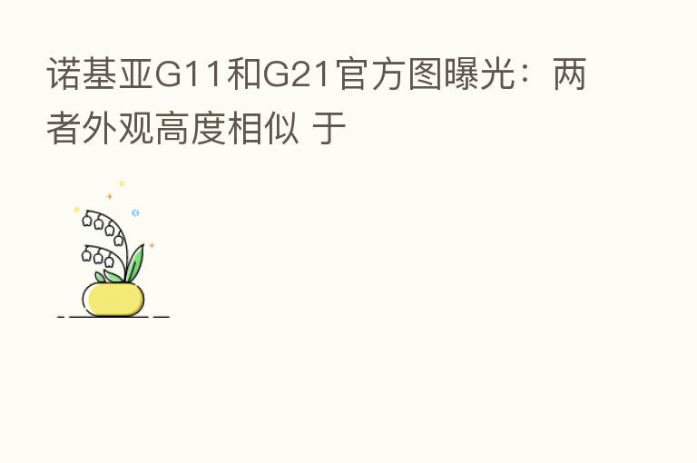 诺基亚G11和G21官方图曝光:两者外观高度相似 于