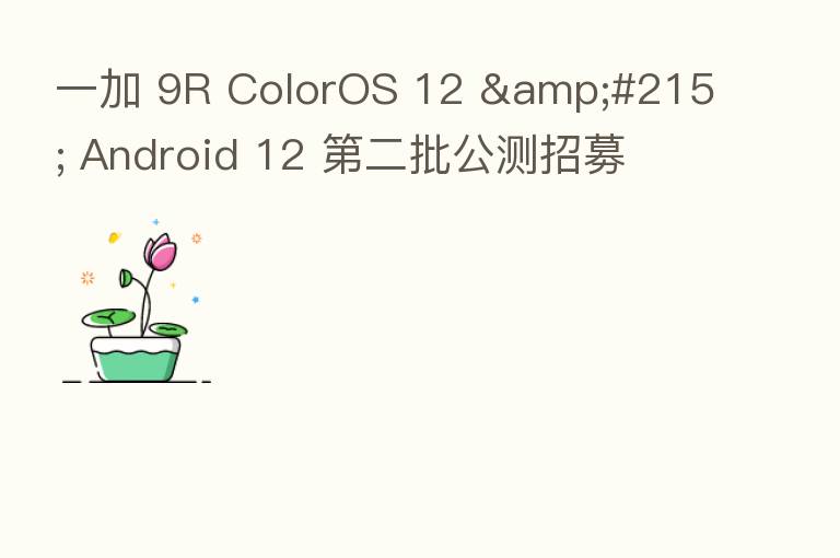一加 9R ColorOS 12 &#215; Android 12    二批公测招募