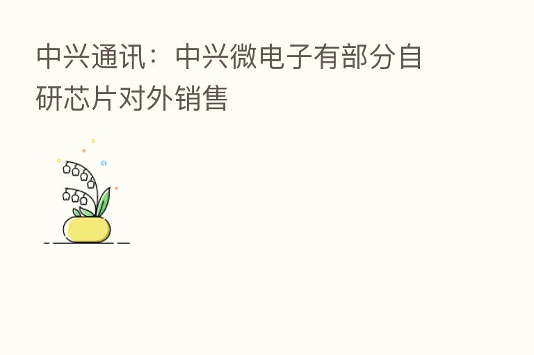 中兴通讯：中兴微电子有部分自研芯片对外销售