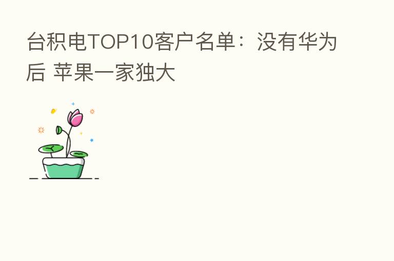 台积电TOP10客户名单：没有华为后 苹果一家独大