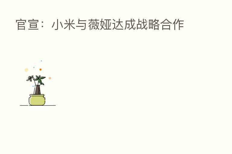 官宣：小米与薇娅达成战略合作