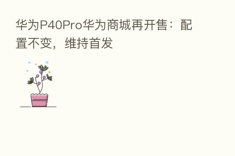 华为P40Pro华为商城再开售:配置不变,维持首发