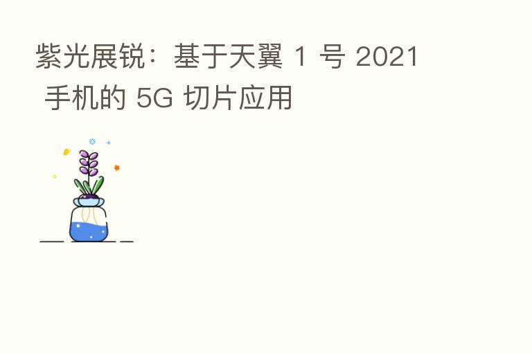 紫光展锐:基于天翼 1 号 2021 手机的 5G 切片应用