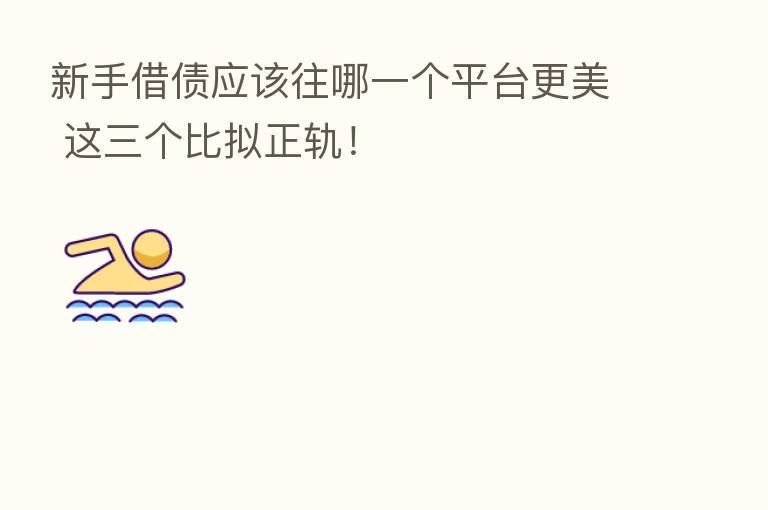 新手借债应该往哪一个平台更美 这三个比拟正轨！