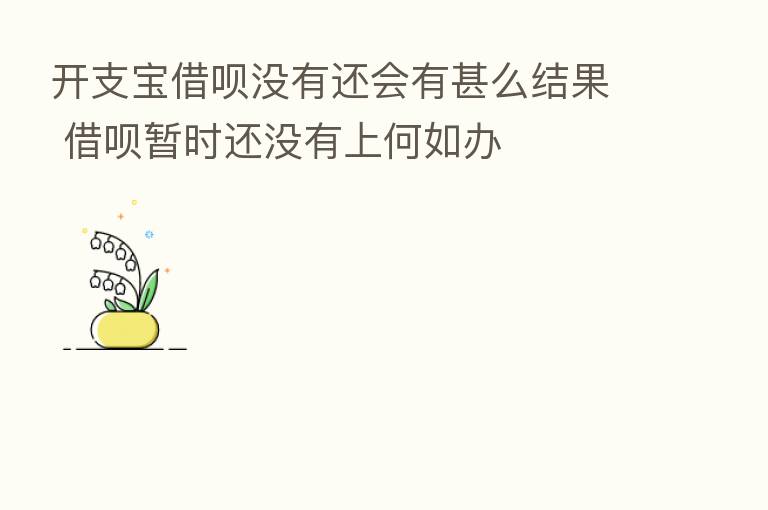 开支宝借呗没有还会有甚么结果 借呗暂时还没有上何如办