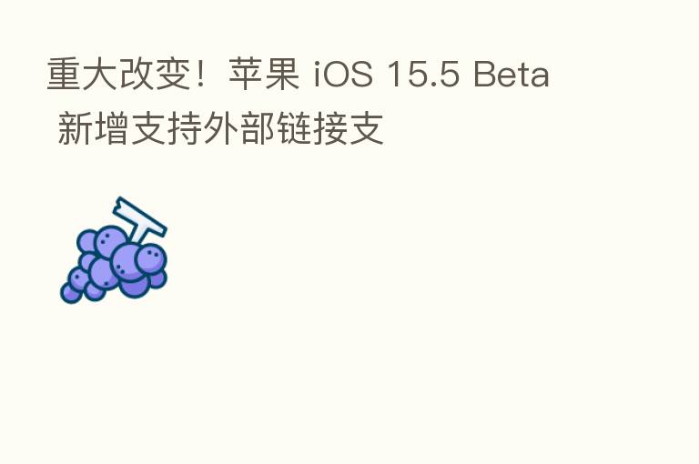 重大改变！苹果 iOS 15.5 Beta 新增支持外部链接支