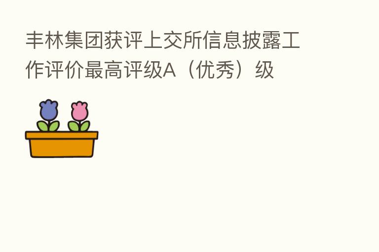 丰林集团获评上交所信息披露工作评价   高评级A（优秀）级