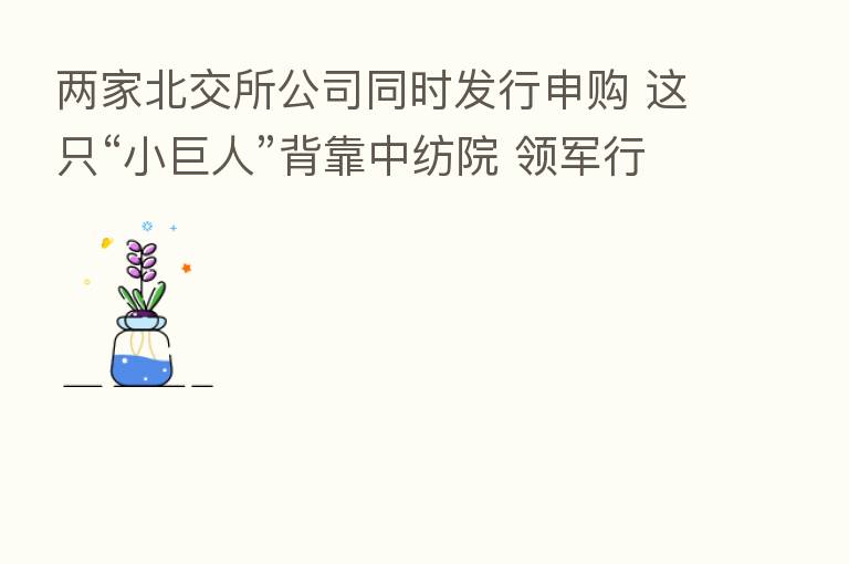 两家北交所公司同时发行申购 这只“小巨人”背靠中纺院 领军行业标准制定