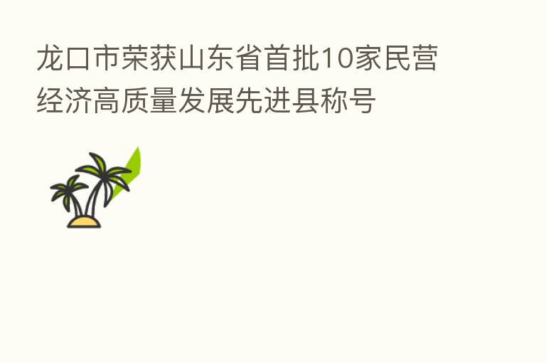 龙口市荣获山东省首批10家民营经济高质量发展先进县称号