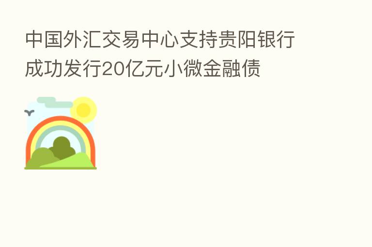 中国外汇交易中心支持贵阳银行成功发行20亿元小微金融债