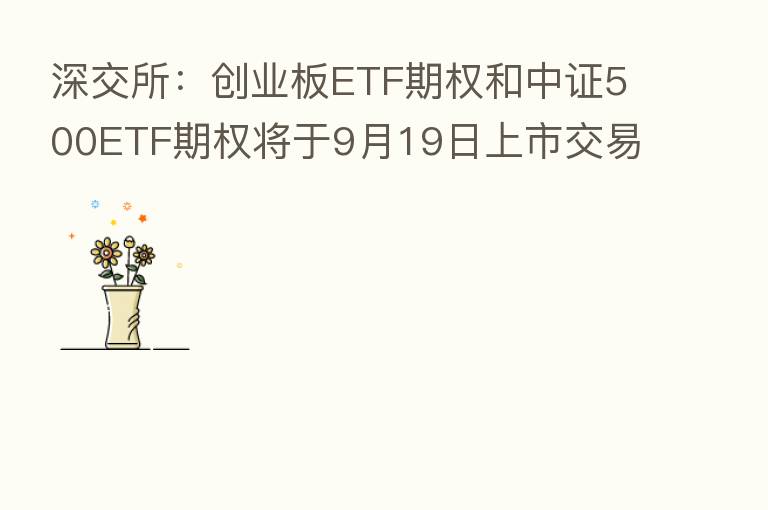 深交所：创业板ETF期权和中证500ETF期权将于9月19日上市交易