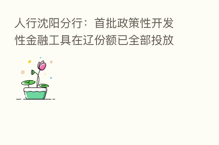 人行沈阳分行：首批政策性开发性金融工具在辽份额已全部投放完毕