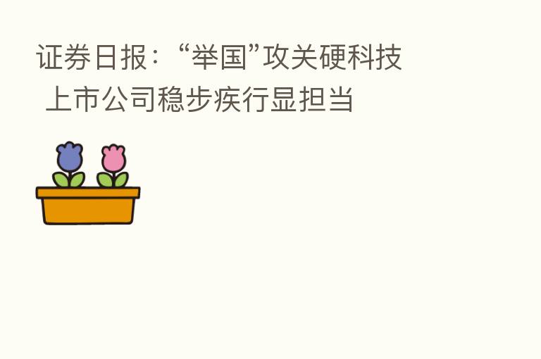 证券日报：“举国”攻关硬科技 上市公司稳步疾行显担当
