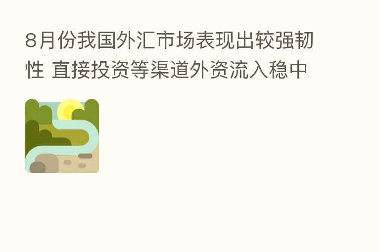 8月份我国外汇市场表现出较强韧性 直接投资等渠道外资流入稳中有增