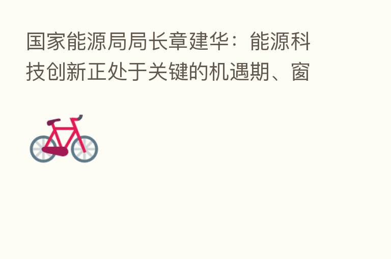 国家能源局局长章建华:能源科技创新正处于关键的机遇期、窗口期