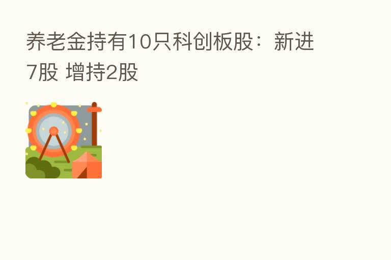 养老金持有10只科创板股:新进7股 增持2股