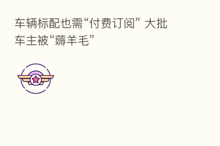车辆标配也需“付费订阅” 大批车主被“薅羊毛”