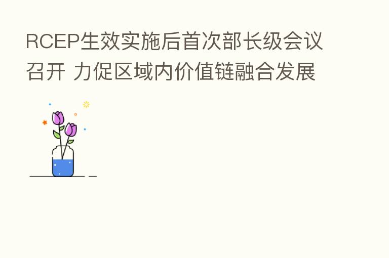 RCEP生效实施后首次部长级会议召开 力促区域内价值链 发展