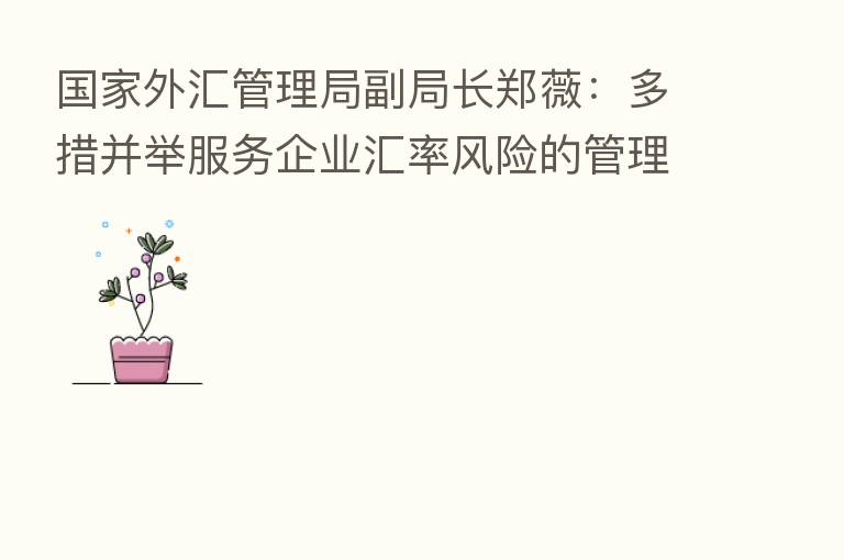 国家外汇管理局副局长郑薇：多措并举服务企业汇率风险的管理