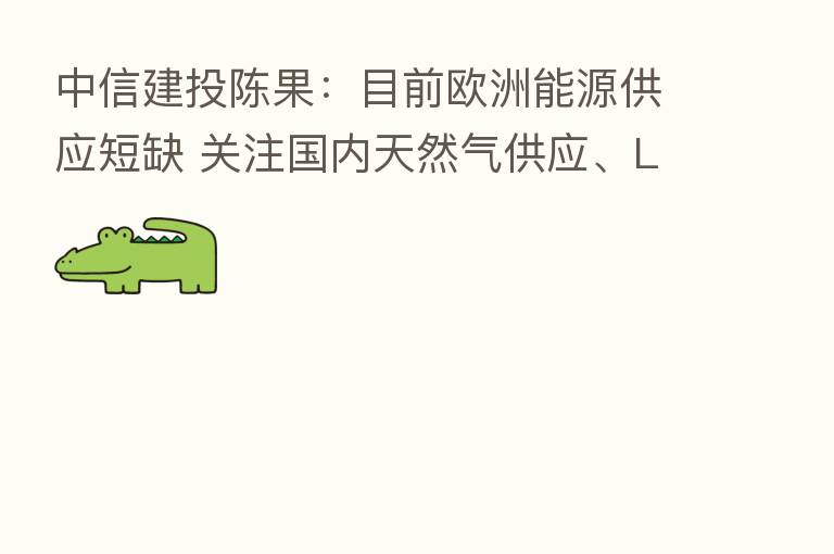 中信建投陈果：目前欧洲能源供应短缺 关注国内天然气供应、LNG生产等板块
