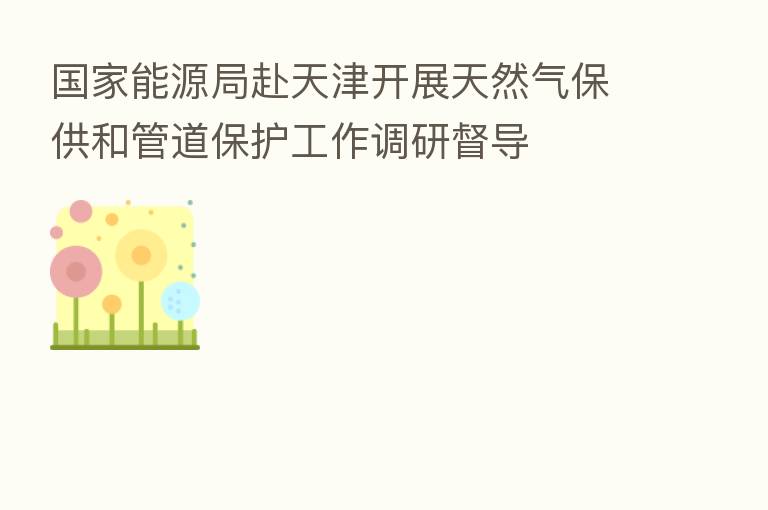 国家能源局赴天津开展天然气保供和管道保护工作调研督导