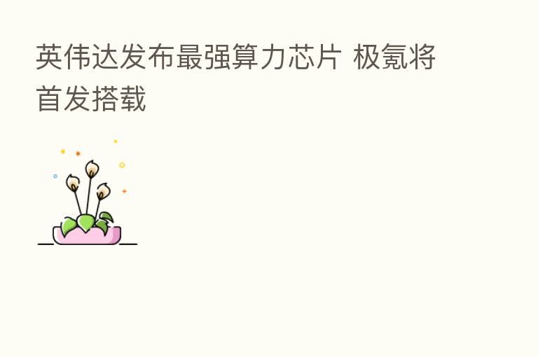 英伟达发布 强算力芯片 极氪将首发搭载