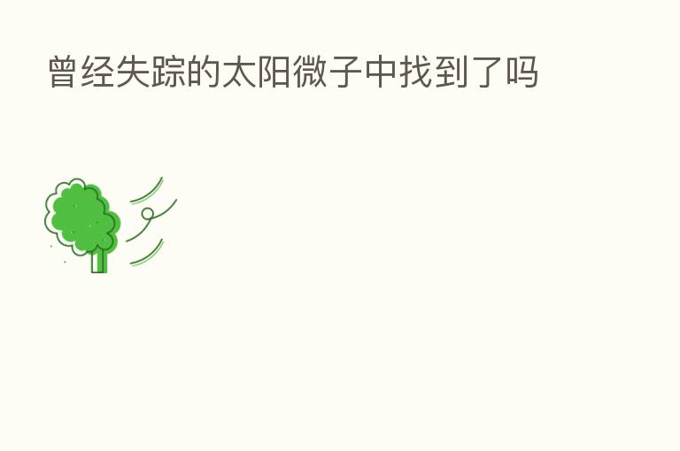 曾经失踪的太阳微子中找到了吗