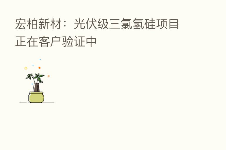 宏柏新材：光伏级三氯氢硅项目正在客户验证中