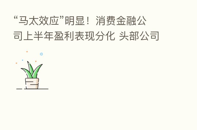 “马太效应”明显！消费金融公司上半年盈利表现分化 头部公司地位稳固