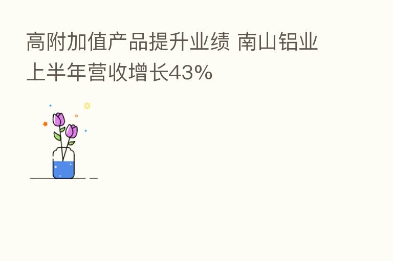 高附加值产品提升业绩 南山铝业上半年营收增长43%