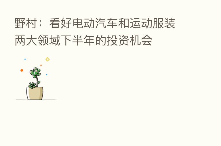 野村：看好电动汽车和运动服装两大领域下半年的投资机会