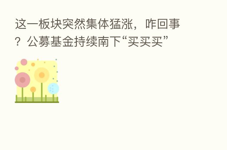 这一板块突然集体猛涨,咋回事?公募基金持续南下“买买买”…
