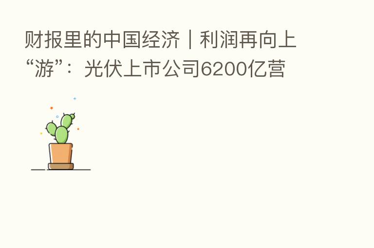 财报里的中国经济｜利润再向上“游”：光伏上市公司6200亿营收背后的喜与悲