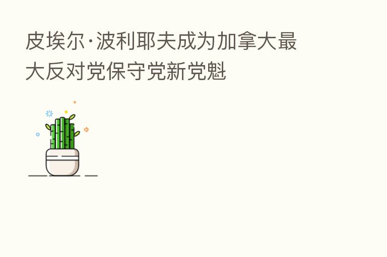 皮埃尔·波利耶夫成为加拿大 大反对党保守党新党魁