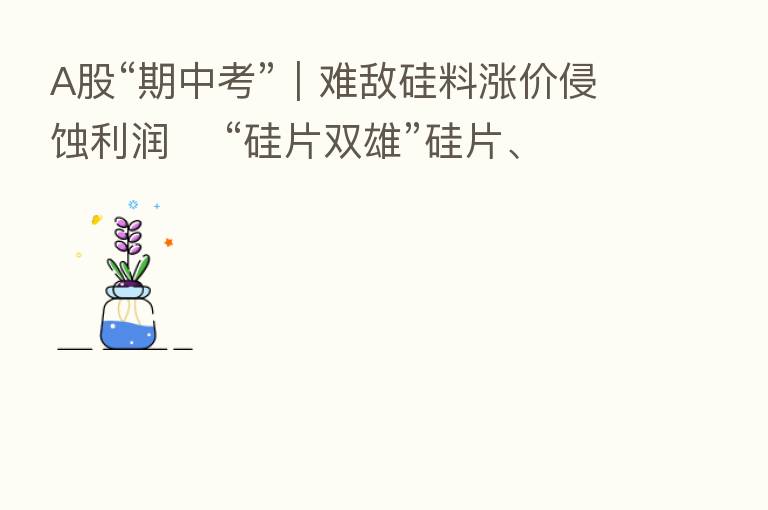 A股“期中考”|难敌硅料涨价侵蚀利润 “硅片双雄”硅片、组件毛利率均下滑