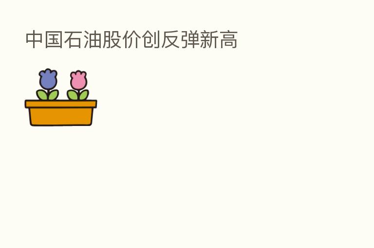 中国石油股价创反弹新高
