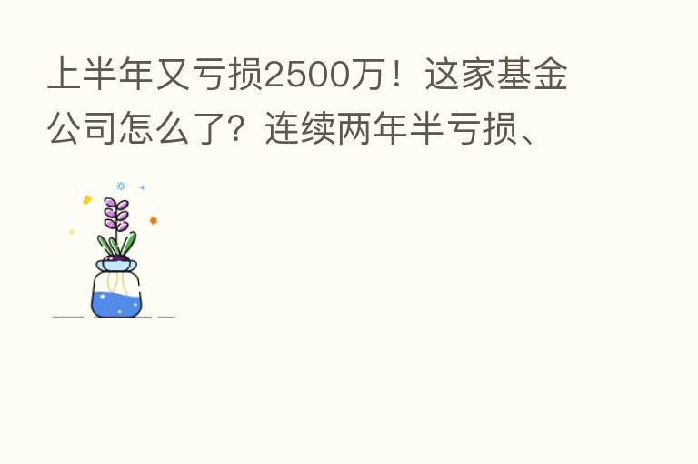 上半年又亏损2500万！这家基金公司怎么了？连续两年半亏损、管理规模停滞不前…