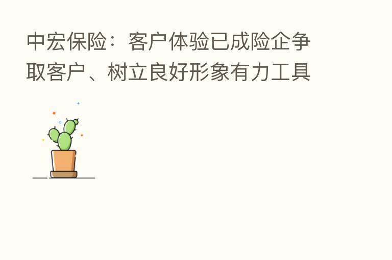 中宏      ：客户体验已成险企争取客户、树立良好形象有力工具