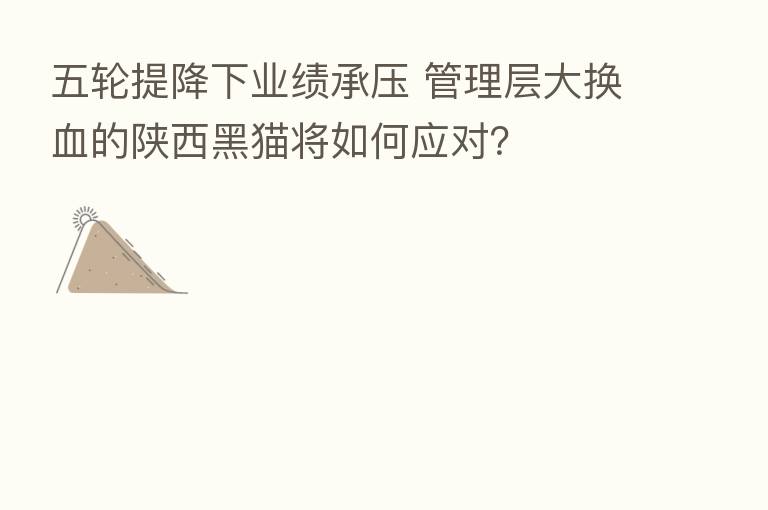 五轮提降下业绩承压 管理层大换血的陕西黑猫将如何应对？